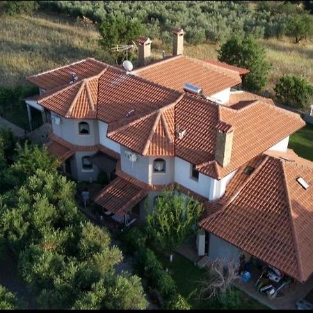 Alice Wonderland Home Nea Flogita Halkidiki ภายนอก รูปภาพ