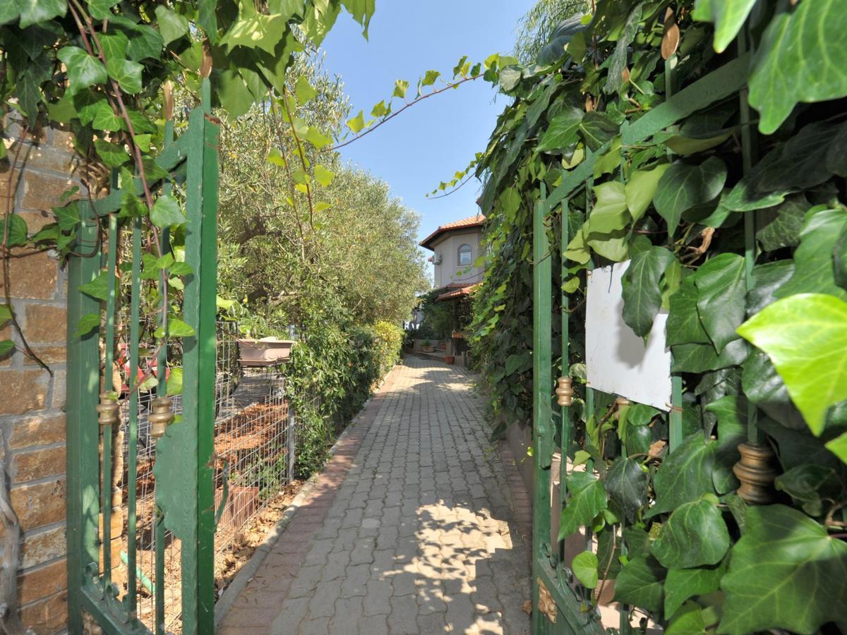 Alice Wonderland Home Nea Flogita Halkidiki ภายนอก รูปภาพ